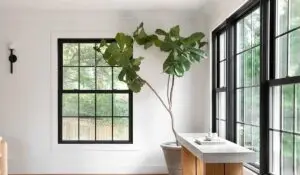 green living with efficient marvin windows